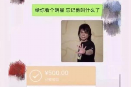 长兴讨债公司联系电话：专业服务，解决您的债务难题