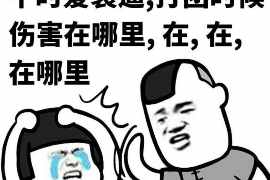 /img/538.png/img/538.png广东要账哪家好?揭秘高效要账服务的选择标准/img/538.png /img/538.png/img/538.png广东要账哪家好?揭秘高效要账服务的选择标准/img/538.png